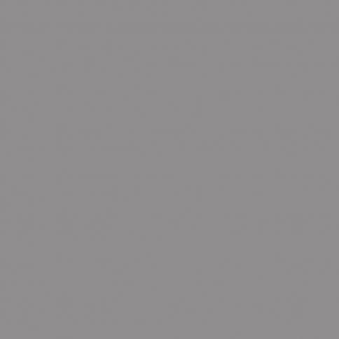 Chipboard FENIX NTM 0725 Ephesus Grey  4200x1230x40mm