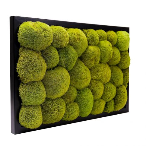 Moss balls